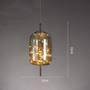 Amber Glass Pendant Light with LED Fairy Lights | Modern Capsule Design